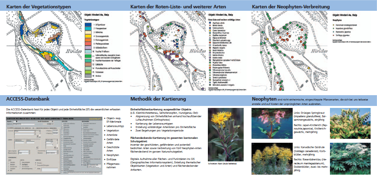 Auszug Prospekt Vegetationskartierung